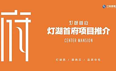 灯湖首府项目推介ppt【pdf】