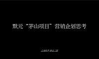 上海和声-茅山十二院推广方案138p【pdf】