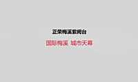 2021正荣梅溪紫阙台整合推广方案【pdf】