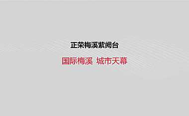 2021正荣梅溪紫阙台整合推广方案【pdf】