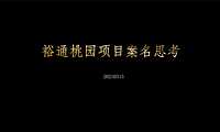 2021裕通桃园项目案名思考方案【pdf】