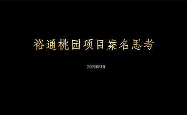 2021裕通桃园项目案名思考方案【pdf】