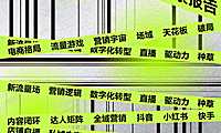 2022品牌线上营销流量观察报告（简版）-77页【pdf】
