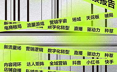 2022品牌线上营销流量观察报告（简版）-77页【pdf】
