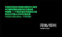 建业综合体凯旋广场提报【pdf】