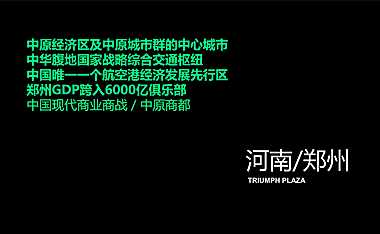 建业综合体凯旋广场提报【pdf】
