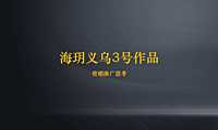 2021海玥江东项目提报推广方案【pdf】