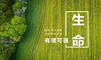 2022融创演丰二十四田园综合体农场体系策略方案（文旅）- 208P【pdf】