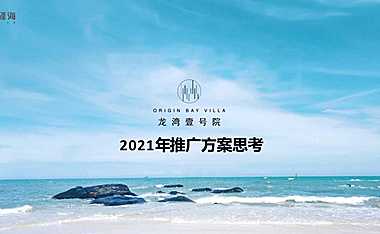 2021龙湾壹号院年度推广方案【pdf】