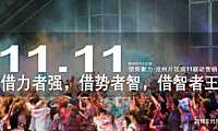 碧桂园借力借势借智河北区域沧州片区双11联动营销方案（购房狂欢节）【pdf】