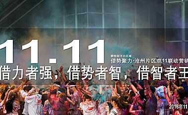 碧桂园借力借势借智河北区域沧州片区双11联动营销方案（购房狂欢节）【pdf】
