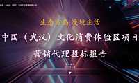 2021文化消费体验区项目营销方案【pdf】