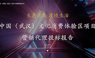2021文化消费体验区项目营销方案【pdf】