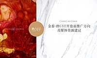 2021房地产开盘前推广、媒体整合方案【pdf】