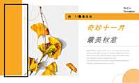 2022地产项目11月月度暖场（奇妙十一月·最美秋意浓主题）活动策划方案-42P【pdf】