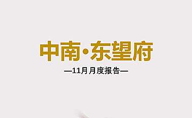 2021东望府11月推广方案【pdf】