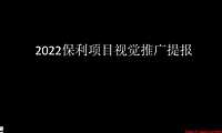 2022保利项目视觉推广提报【pdf】