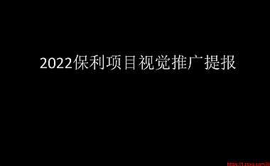 2022保利项目视觉推广提报【pdf】