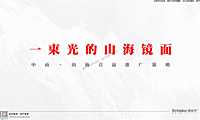 2022府系项目推广策略提报方案【pdf】