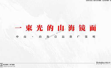 2022府系项目推广策略提报方案【pdf】