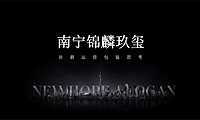2021锦麟玖玺社群运营方案【pdf】