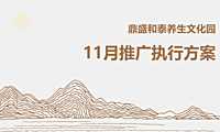 2021鼎盛和泰养生文化园11月推广执行方案【pdf】