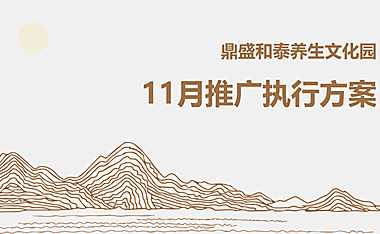 2021鼎盛和泰养生文化园11月推广执行方案【pdf】