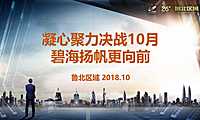 碧桂园营销案例-鲁北区域如何逆势突围一绩绝尘【pdf】