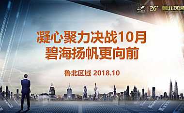 碧桂园营销案例-鲁北区域如何逆势突围一绩绝尘【pdf】
