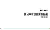 2021佳诚中山翠亨项目案名VI提报【pdf】