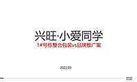 2022公寓新品推广策略方案【pdf】