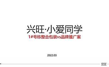 2022公寓新品推广策略方案【pdf】