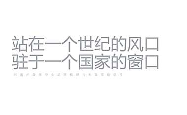 2022河南卢森堡中心整合推广提报165p【pdf】