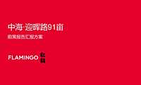2021红鹤集团-中海成都迎晖路故事线推广169页【pdf】