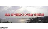 诚品-苏州园区湖东CBD项目（10年）【pdf】