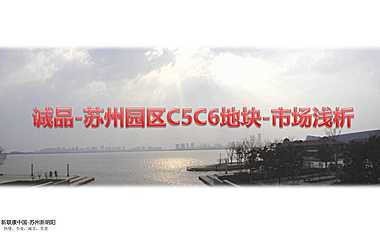 诚品-苏州园区湖东CBD项目（10年）【pdf】
