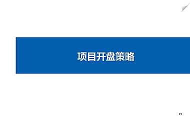 策划培训之项目开盘策略【pdf】