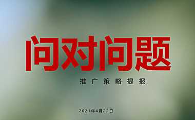 2021红星观山天铂推广策略提报方案【pdf】