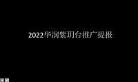 2022华润紫玥台推广提报【pdf】
