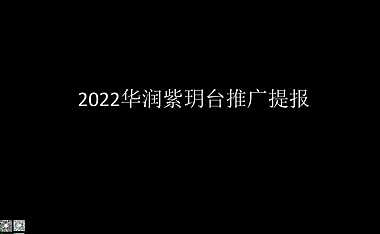 2022华润紫玥台推广提报【pdf】