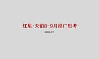 2022红星天铂8-9月推广思考方案-81P【pdf】