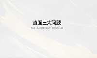 2021璞悦风华传播推广策略方案【pdf】