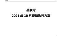 2021星联湾10月营销推广执行案#大平层#【pdf】