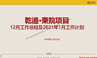 乾道东院12-1月推广策划案 #返乡置业# #叠墅# #高层#【pdf】