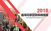 同策-无锡蠡湖花都营销策略提报11月【pdf】