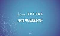 小红书品牌分析-61页【pdf】