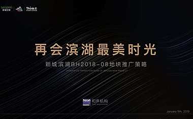 合肥新城·时光映玥整合推广策略方案【pdf】