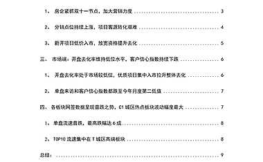 克而瑞·长沙板块一线营销专题报告（11月刊）【pdf】