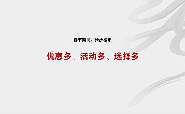 2021滨江府春节推广策略方案【pdf】