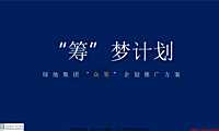 绿地集团双十一11元众筹方案【pdf】